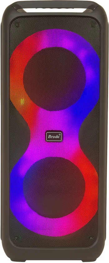 BTS-2109 Bluetooth connect with wireless mic speaker