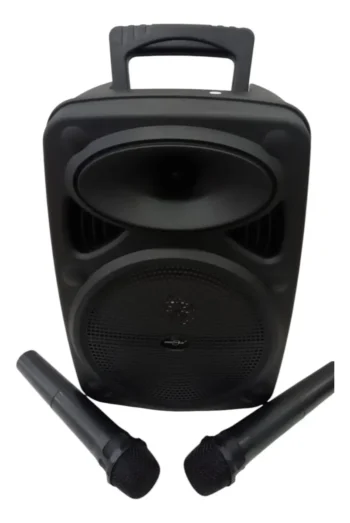 GTS-2385 speaker with wireless mic