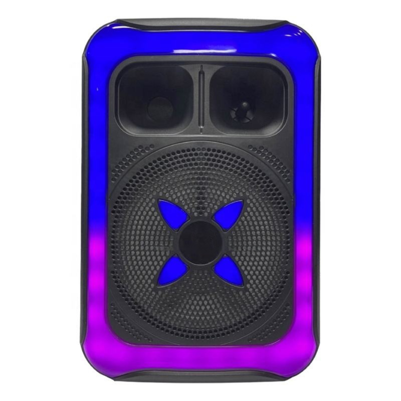 KTS-1727 8 inches with 10W output power wireless MIC with Bluetooth speaker - Image 5